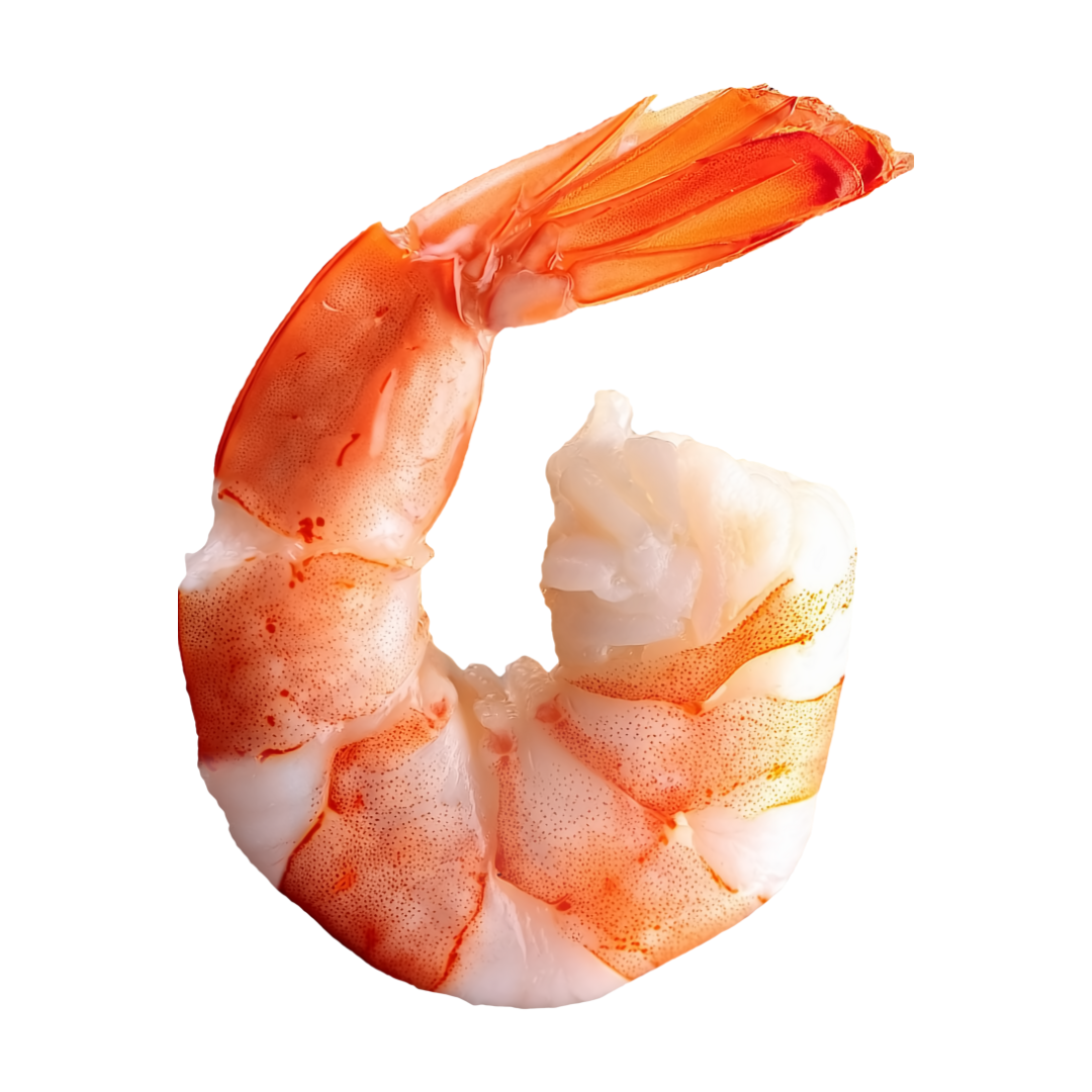 Jumbo Shrimp - (Tail on - 1000g)