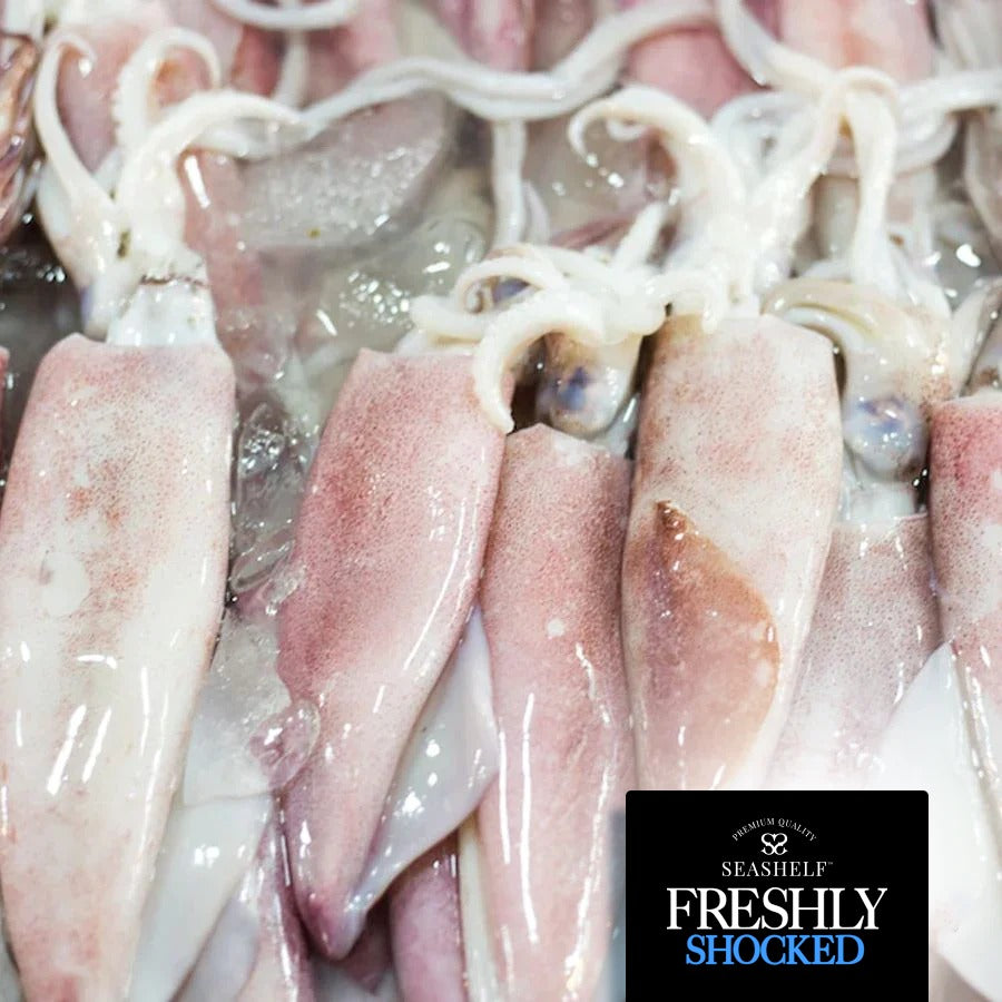 Shocked - Whole Balady Calamari - 1000 gm