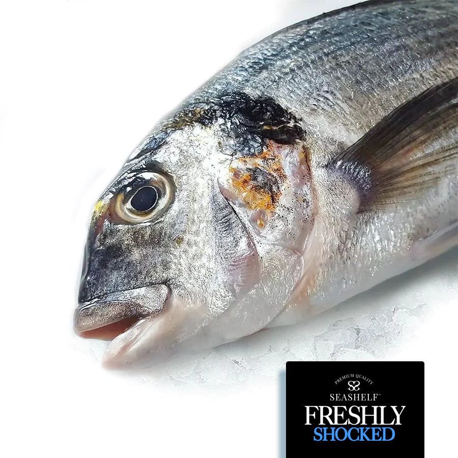 Shocked - Gilt Head Bream whole Fish - (Denees - 1000 gm)
