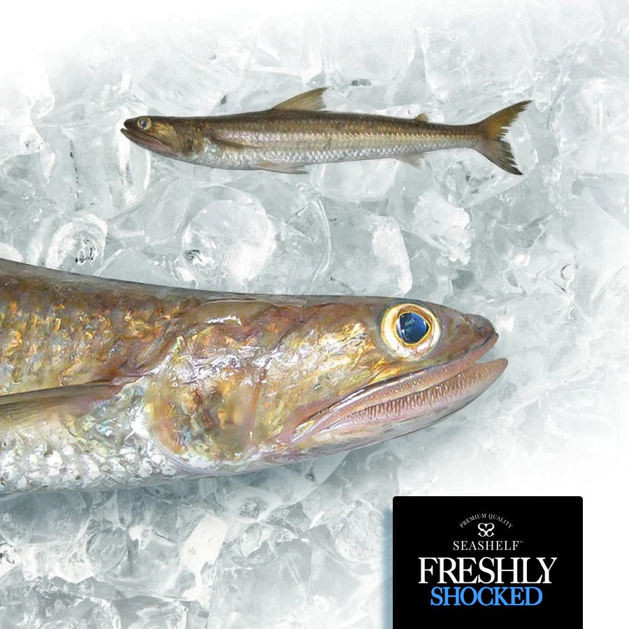 Shocked - SUEZ Brush Tooth Fish ( macarona - 1000 gm)