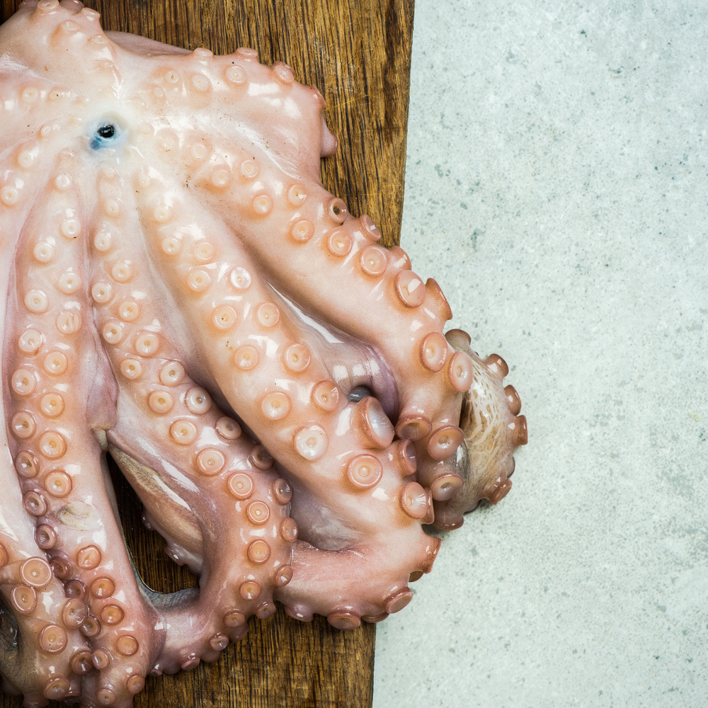 Whole Octopus