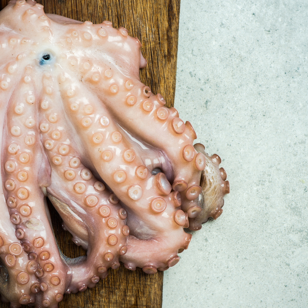 Whole Octopus