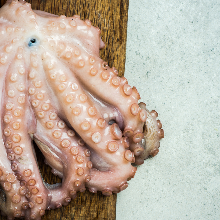 Whole Octopus
