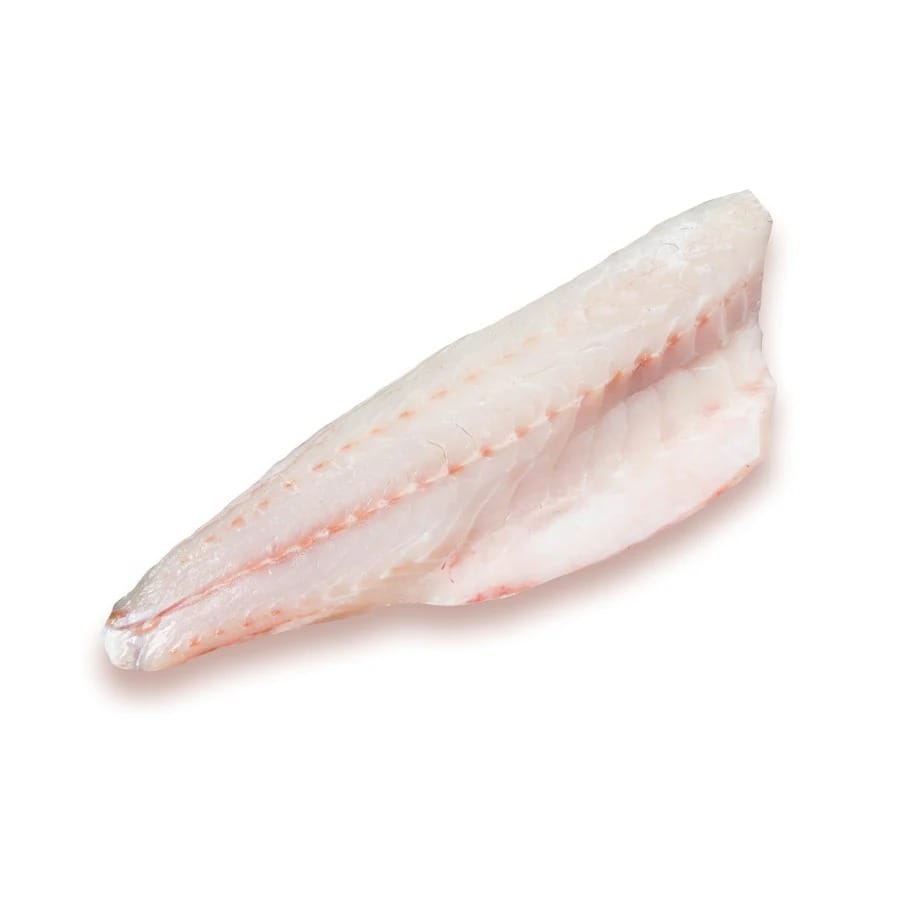 Meagre Fillet Whole Side (Loot)