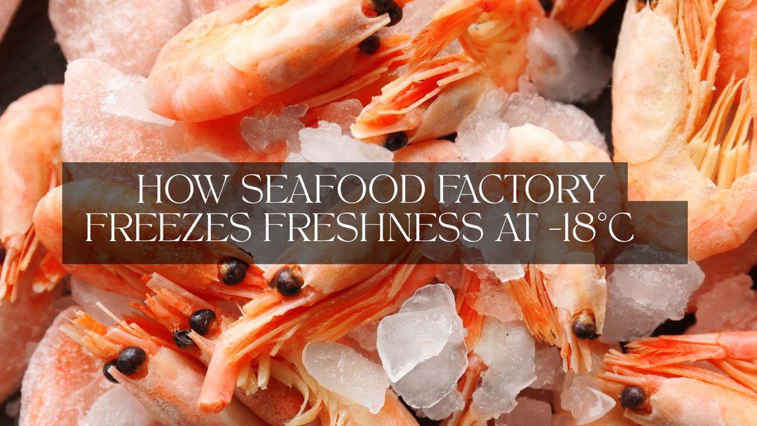 How Seafood Factory Freezes Freshness at -18°C