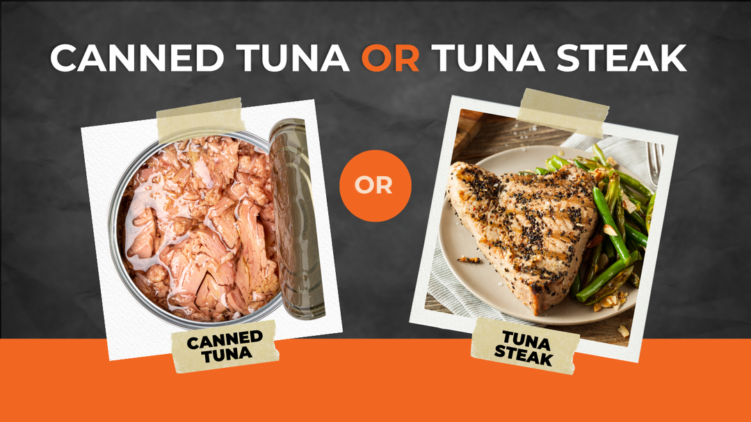 Why Tuna Steak Beats Canned Tuna: The Truth They Don’t Tell You
