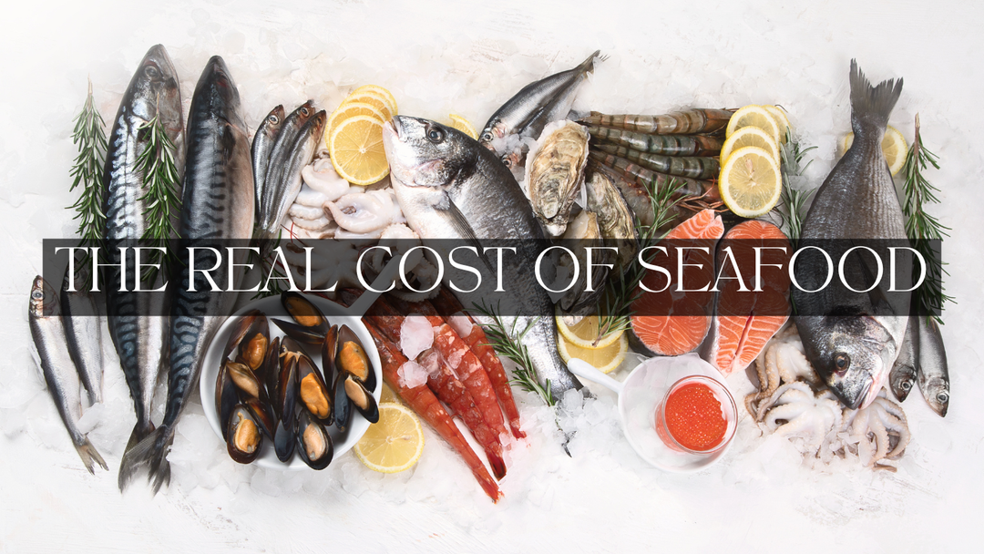The Real Cost of Seafood: Why Quality Cuts Are Worth Every Pound