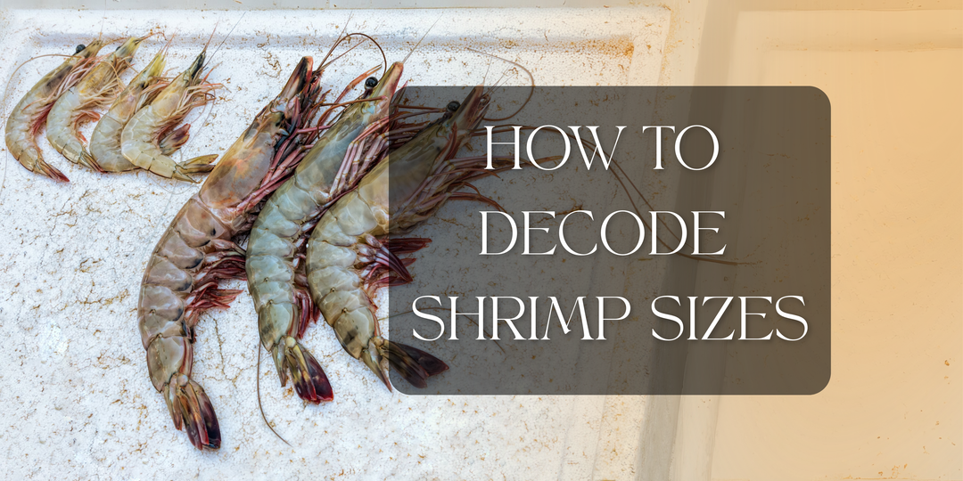How to Decode Shrimp Sizes: What Does 16/20 or 21/25 Really Mean?