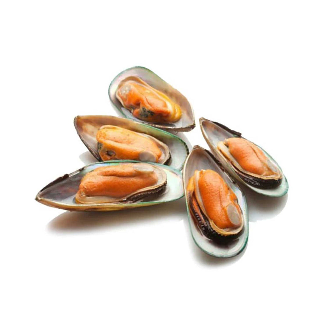 Half Shell Mussels  ( Jumbo size - 1000 gm )