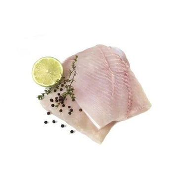 Fish Fillet – Seafood Factory