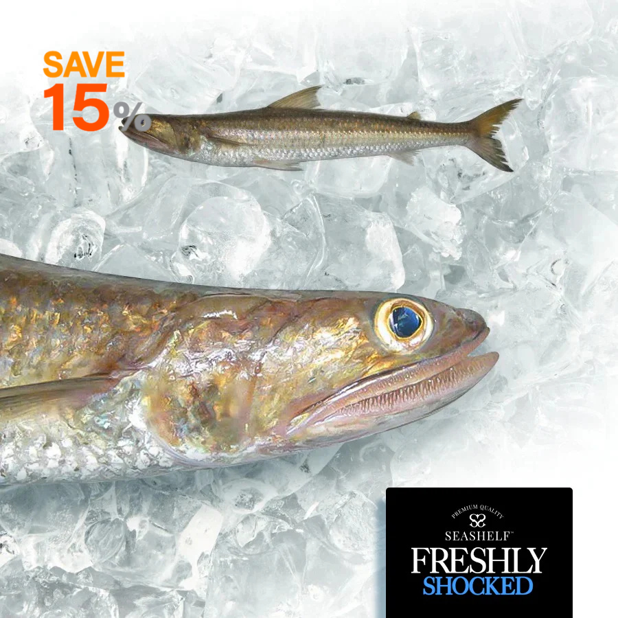 Shocked - SUEZ Brush Tooth Fish ( macarona - 1000 gm)