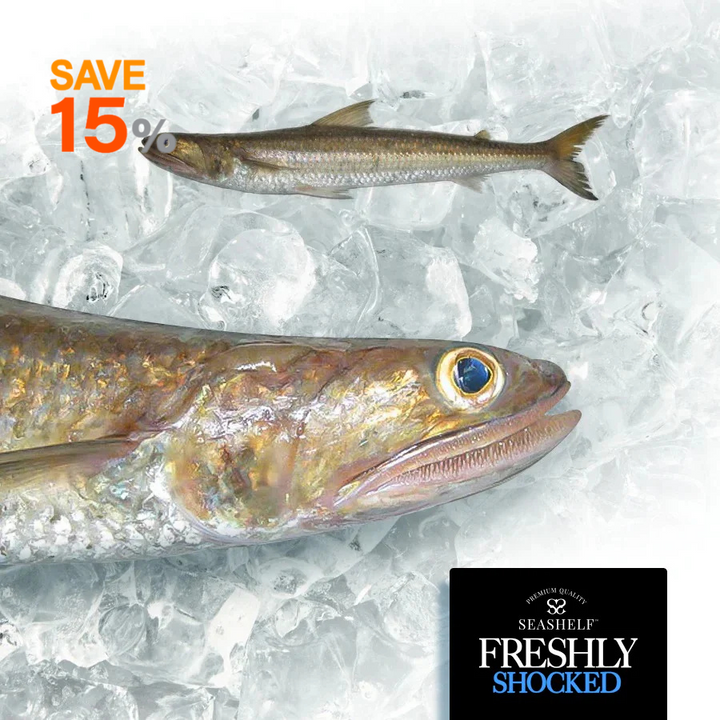 Shocked - SUEZ Brush Tooth Fish ( macarona - 1000 gm)
