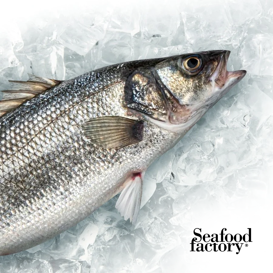 Fish Sebas Contact Us – Seafood Factory