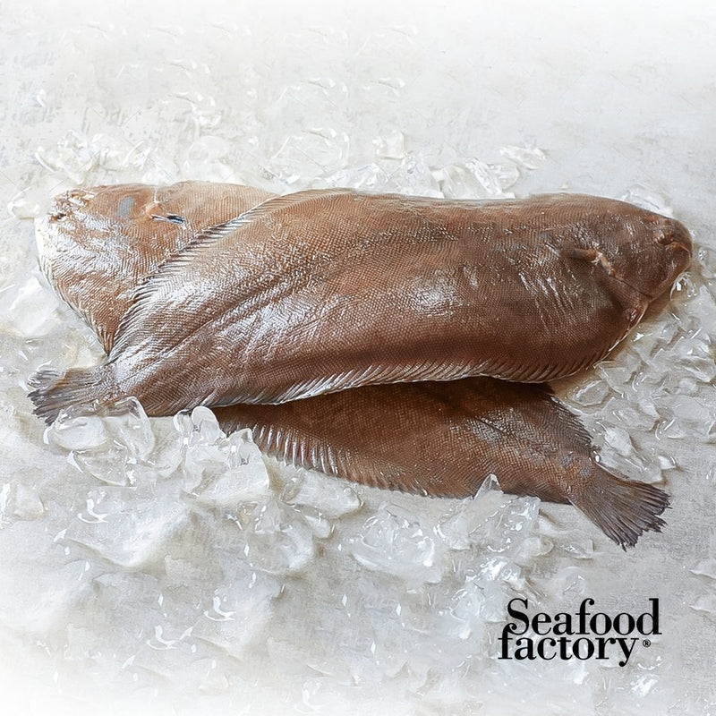 Fresh - Sole Wild Suez Fish (Mousa-1000 gm)