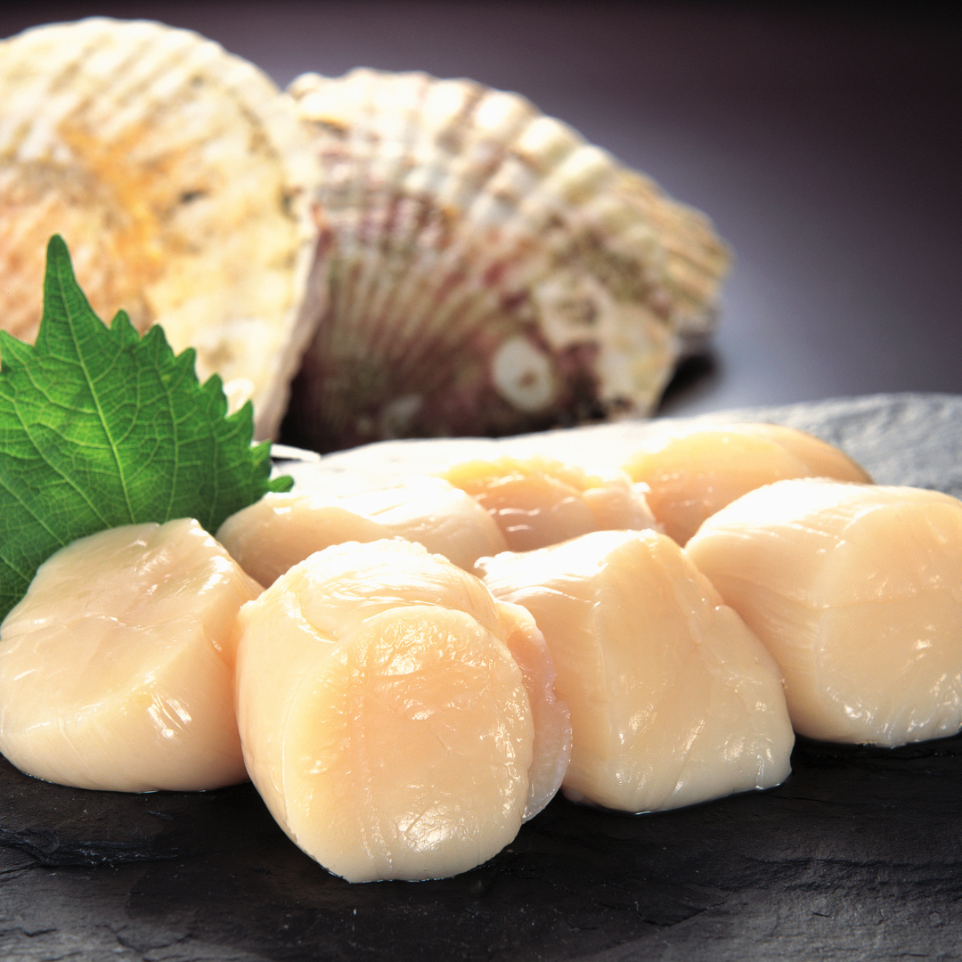Sea Scallops - (1Kg)