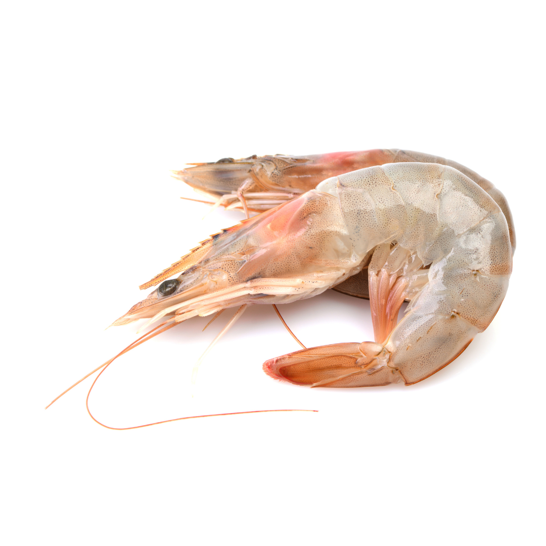 Syed el youm Large Shrimp - (Shell on - 1000g)