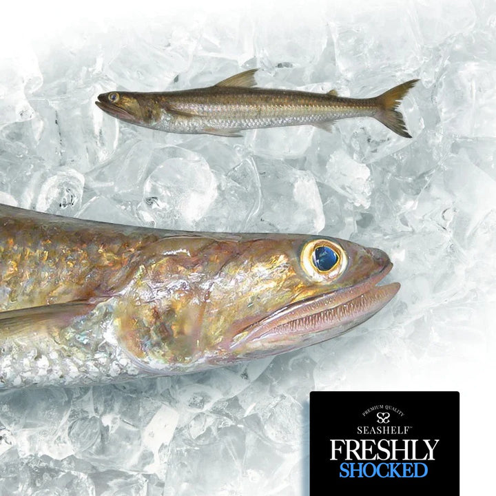 Shocked - SUEZ Brush Tooth Fish ( macarona - 1000 gm)