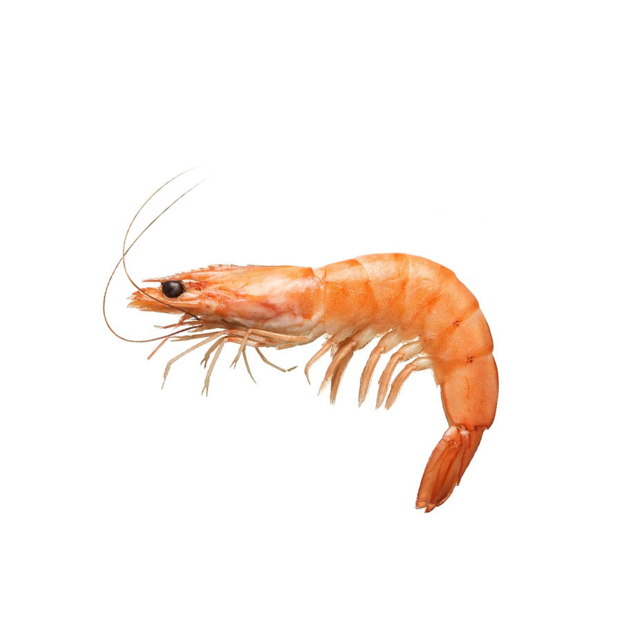 Syed el youm shell-on shrimp - ( Large - 1000gm )