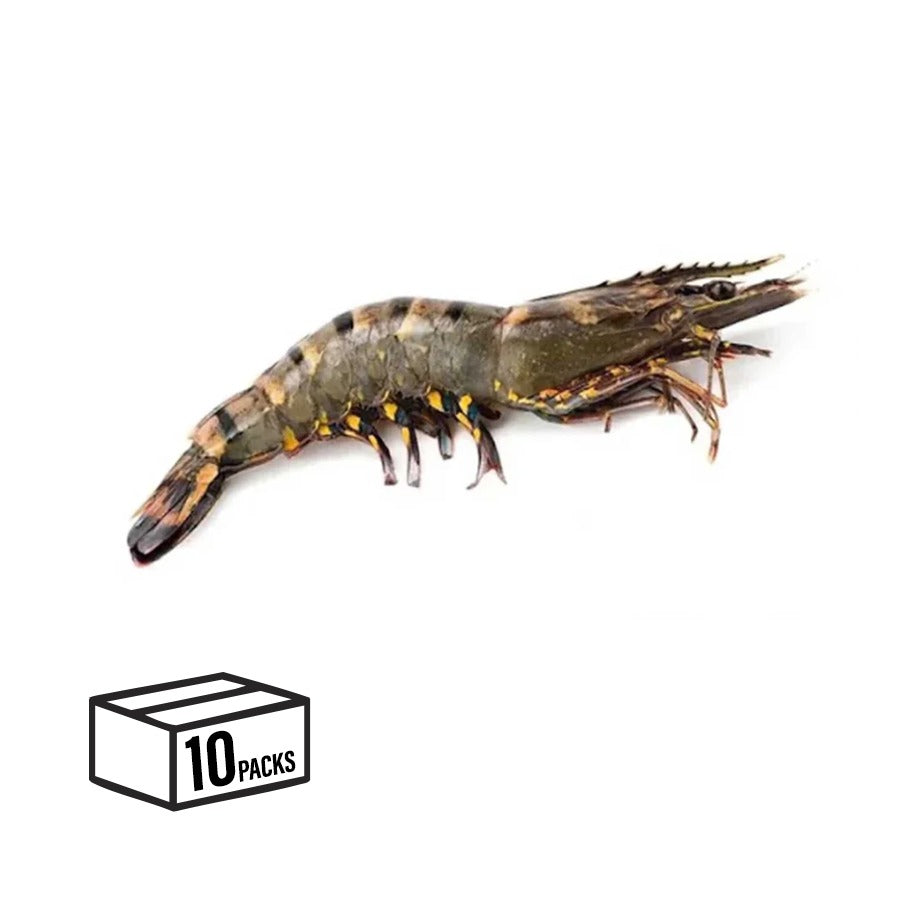 Black Tiger Shrimp (Jumbo) – 1kg (10 Packs)