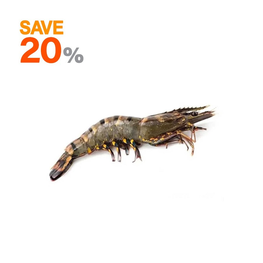 Black Tiger Shrimps Shell on (Jumbo - 1000 gm)