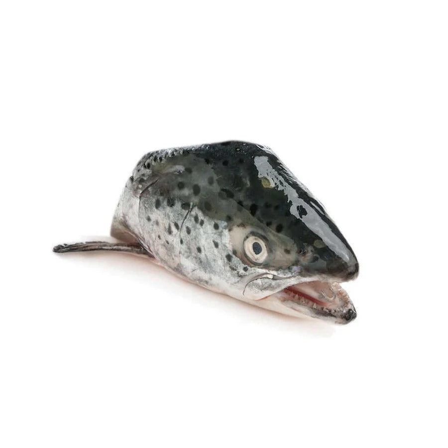 Salmon head for soup