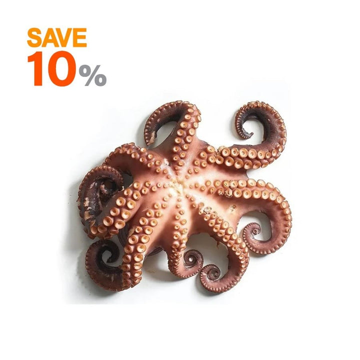 Whole Octopus