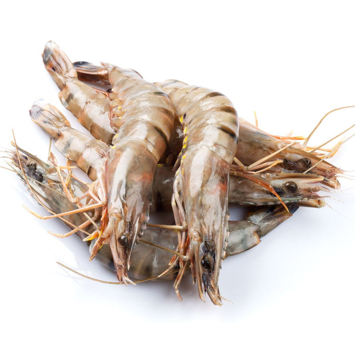 Medium Shrimp - (Shell on -2000g)
