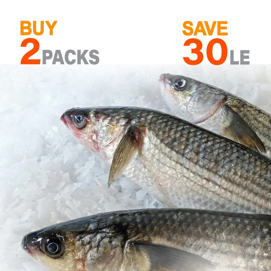 Shocked -2 kg Wild Grey Mullet fish (Bouri) Offer