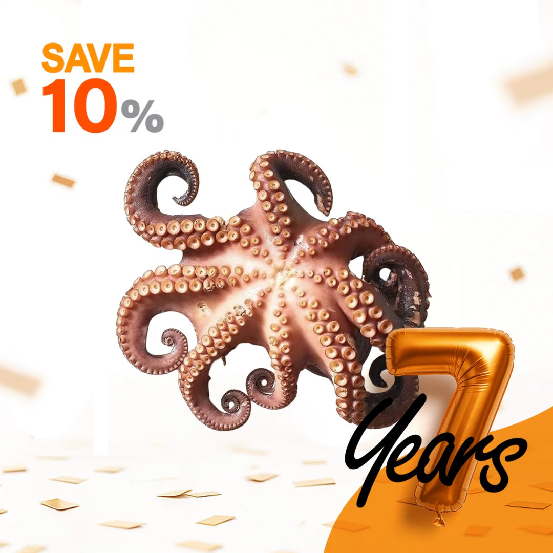 Whole Octopus