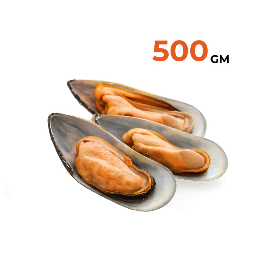 بلح بحر نصف صدفة  