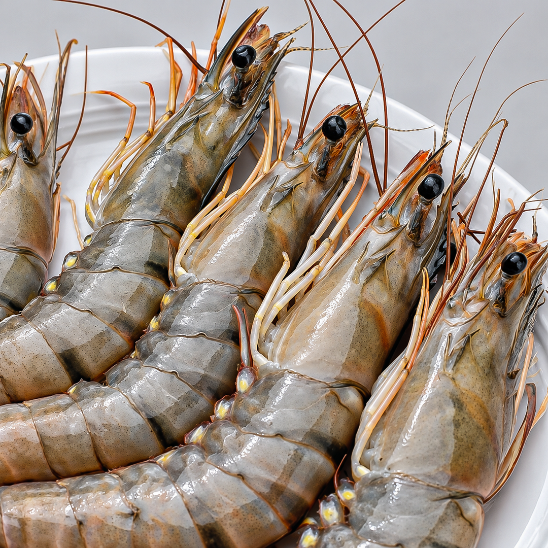 Shrimp Shell on (Jumbo - 1000 gm)