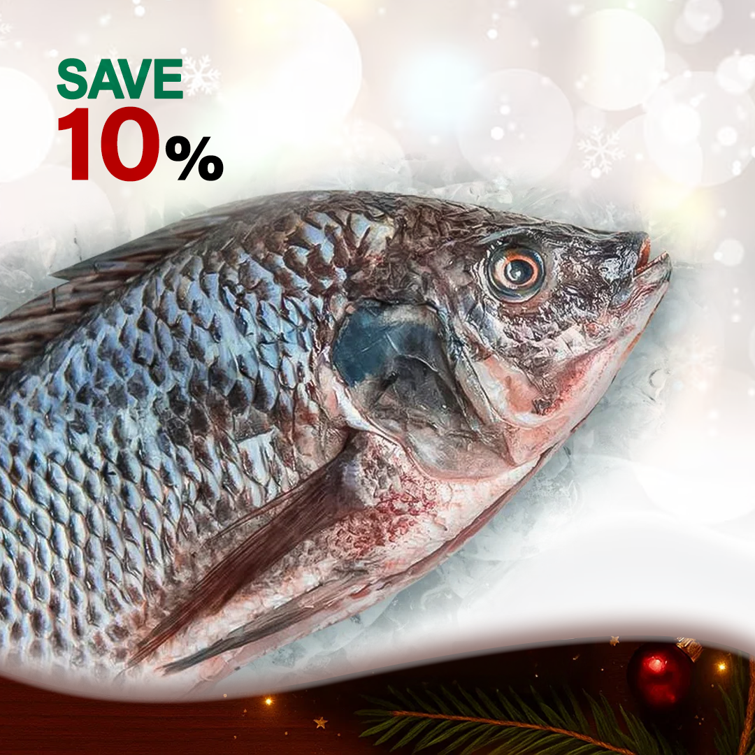 Shocked - Wild Tilapia - (Bolty)