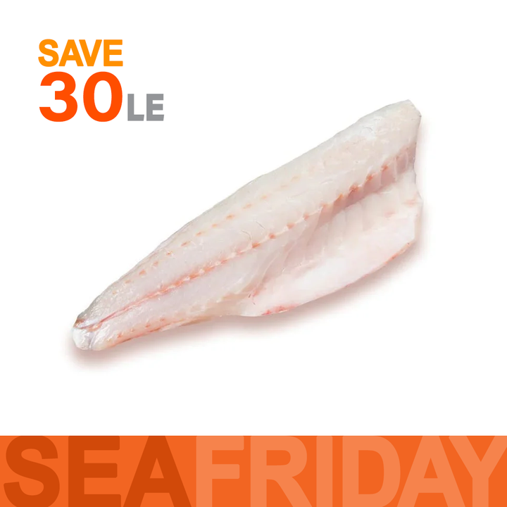 فيليه لوت جنب كامل 