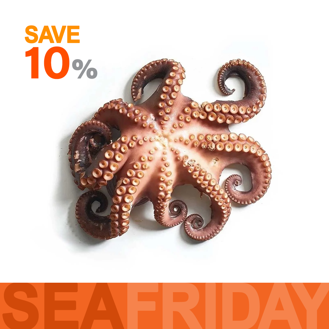 أخطابوط كامل