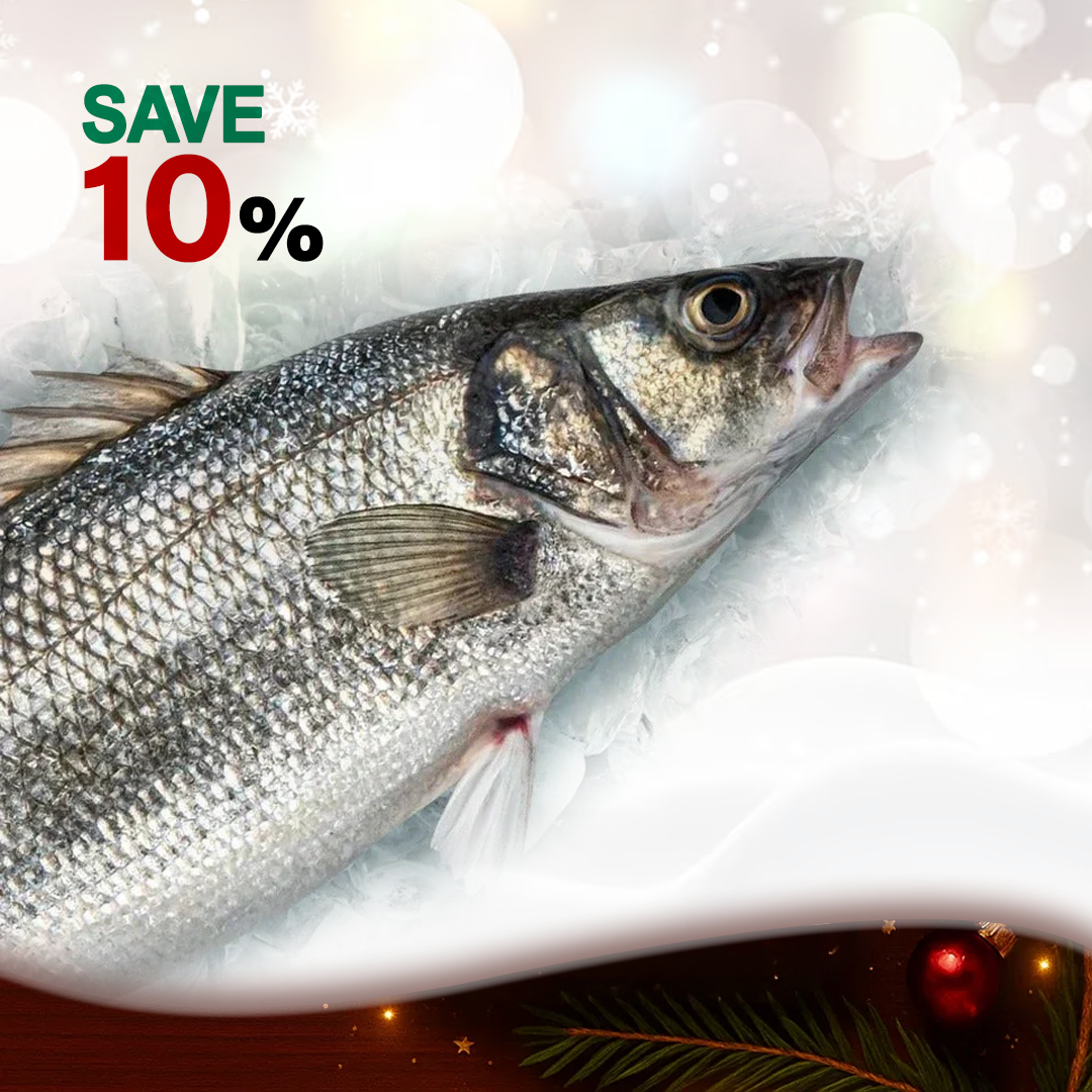 Shocked - Wild Suez Sea bass Whole Fish - (Qarous - 1000 gm)