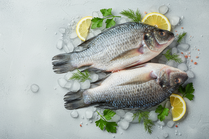 Shocked Wild Tilapia with Skin