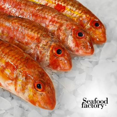 Fresh - Striped red Mullet ( Barbony )