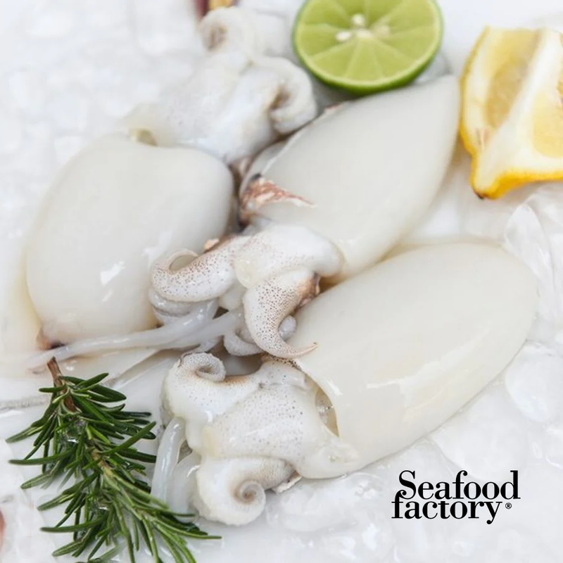 Fresh Whole Squid - (Sobet)